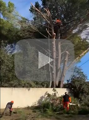 abattage-video