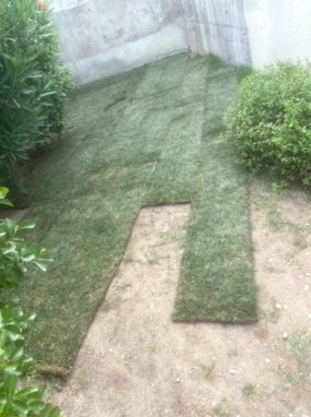 plantation1