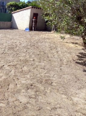 plantation2